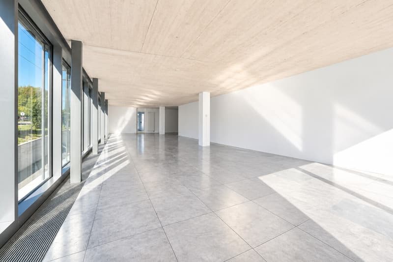 Lichtdurchflutete Büroflächen ab 100 m² - flexibel kombinierbar (4)