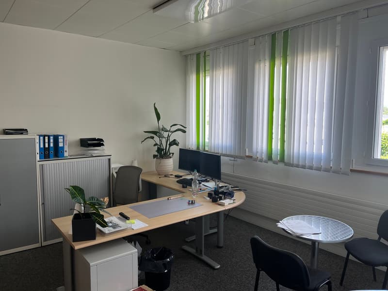The image shows an office space with a desk, computer, and office supplies. The room has large windows with vertical blinds, providing a view of the outdoors. There are also some potted plants and a small round table in the room.