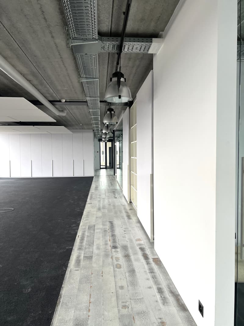 Gray walls, white flooring, several suspended lamps, white cupboards