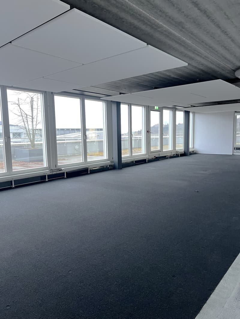 Empty room, large windows, open doorway, concrete floor, white ceiling, large tree visible outside