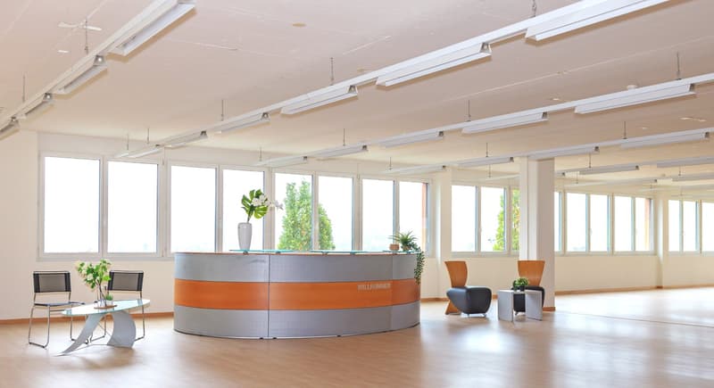 Spacious room with wood floor, large windows, high ceiling, and office desk, two armchairs and a table with potted plants
