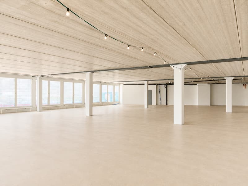 Espaces de bureau planifiables individuellement dans un emplacement favorable au trafic (5)