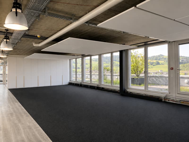 Exclusive attic office with a view and personality (7)