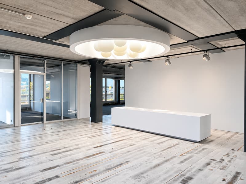 Exclusive attic office with a view and personality (3)