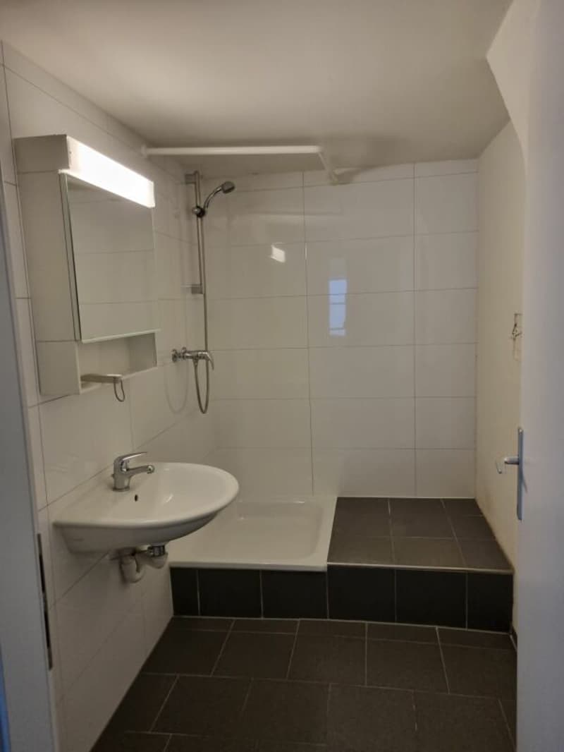 Furnished small 3-room guest house (No kitchen!) (7)