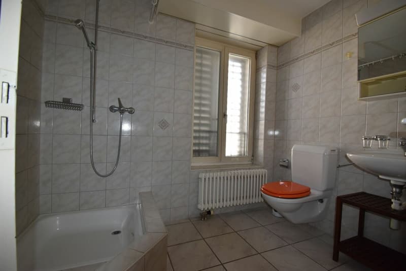 gemütliche Dachwohnung mit Balkon / Zentrum Neuhausen (8)