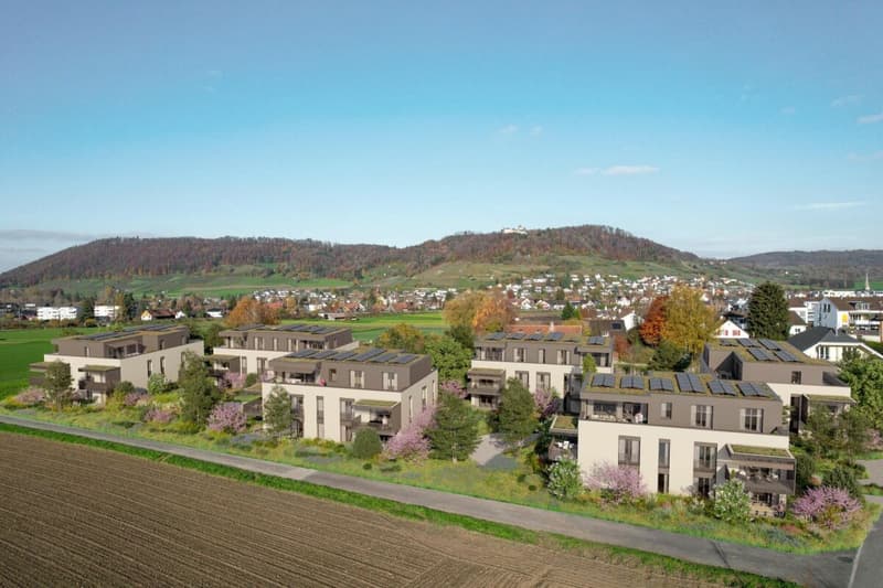 Sunny 3.5-room new apartment in Stein am Rhein (5)
