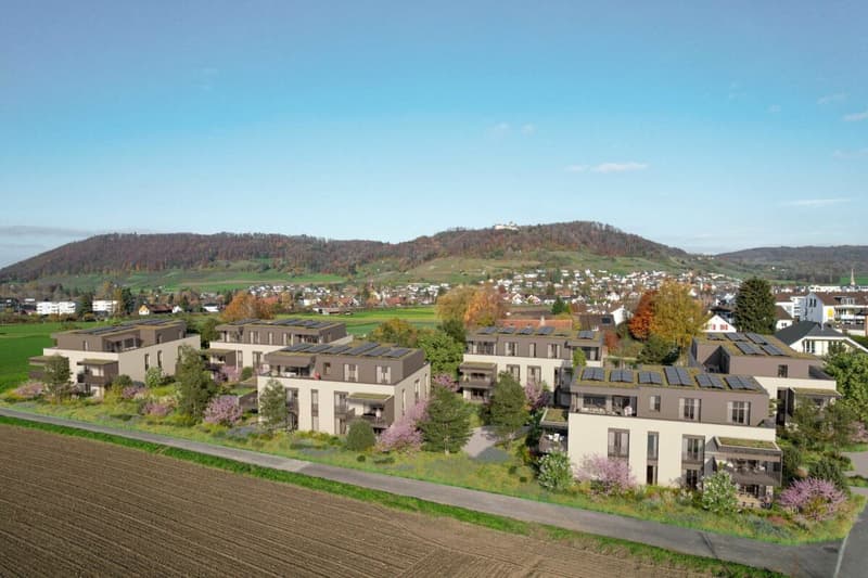 Charming 3.5-room new apartment in Stein am Rhein (4)