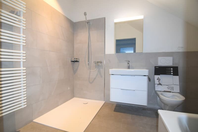Wunderschöne Wohnung in der Nähe vom Rhein (4)