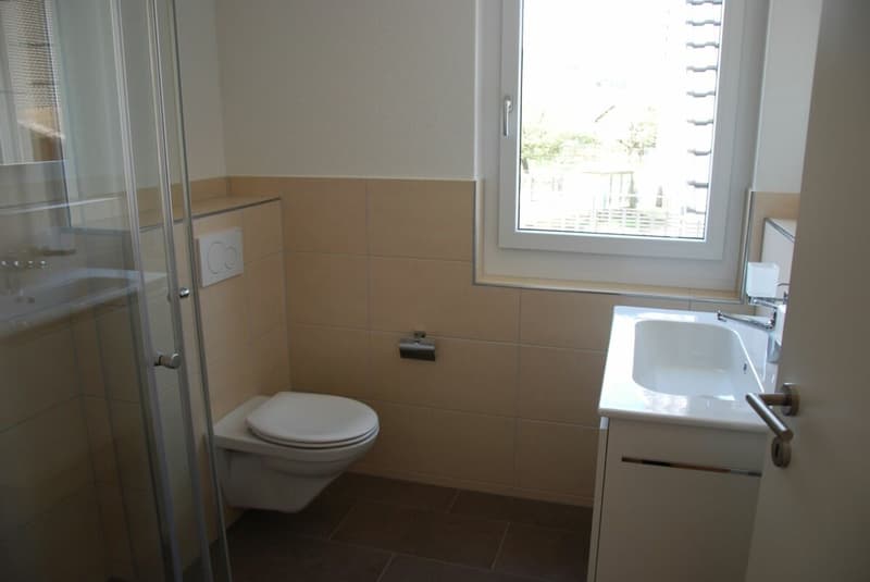 Helle moderne 4.5-Maisonette Dachwohnung (5)
