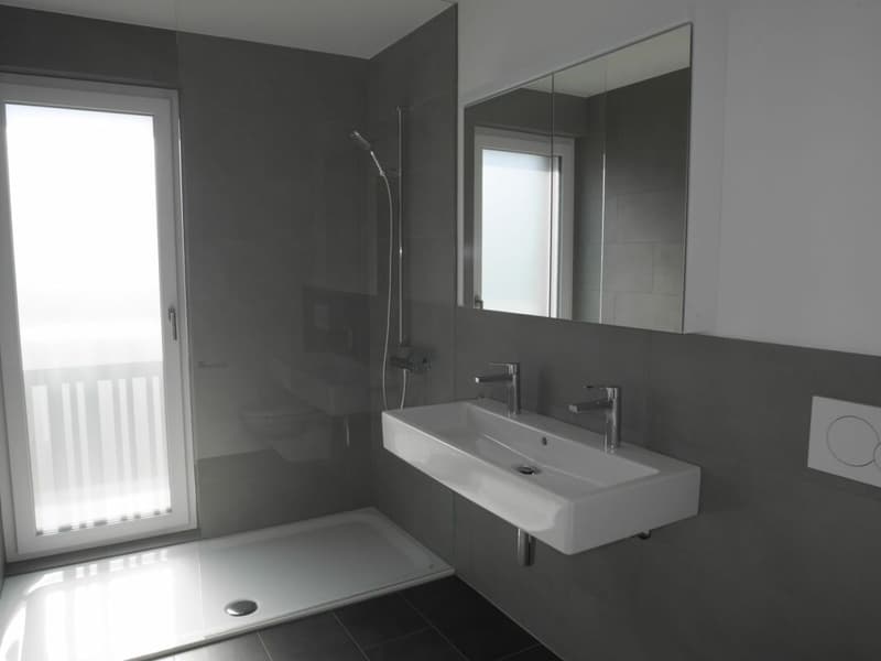 Moderne 4.5-Zimmerwohnung mit Garten direkt beim Bahnhof (5)