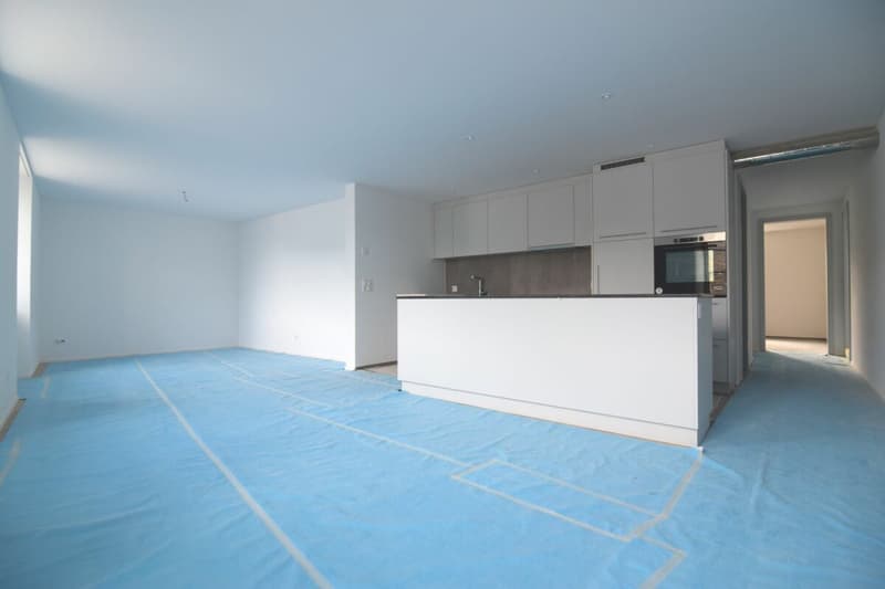 Appartamento bellissimo vicino al Reno (3)