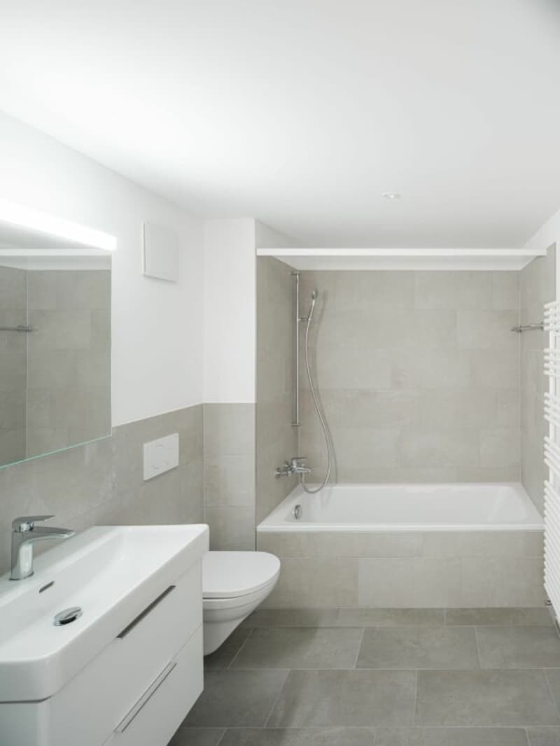 Appartamento bellissimo vicino al Reno (5)