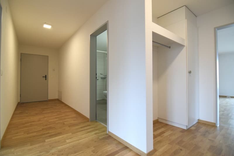 Sanierte 4.5-Zimmerwohnung im 1.OG (7)
