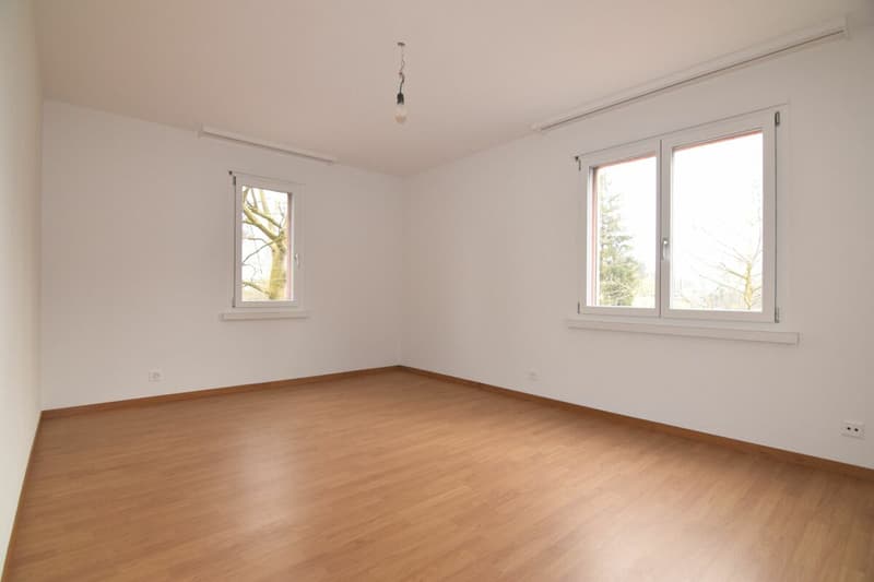Sanierte 4.5-Zimmerwohnung im 1.OG (2)