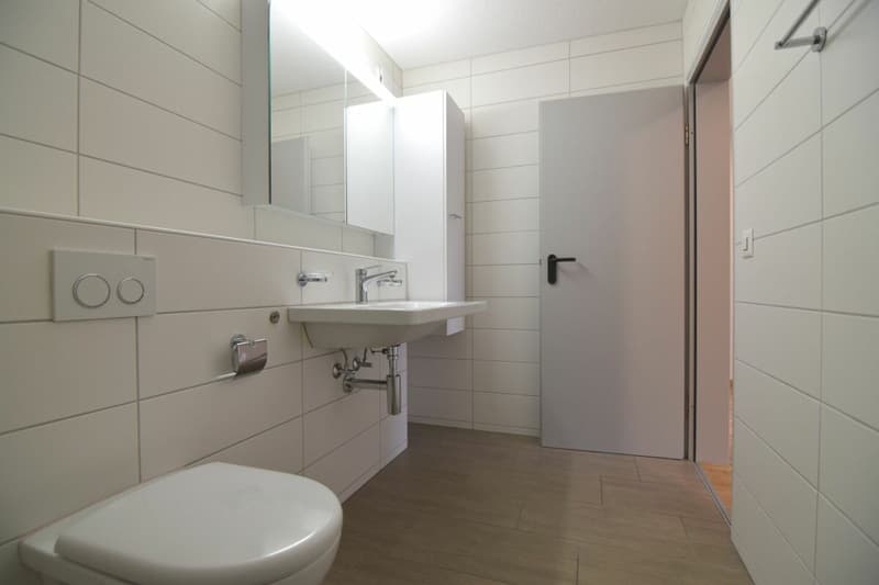 Sanierte 4.5-Zimmerwohnung im 1.OG (5)