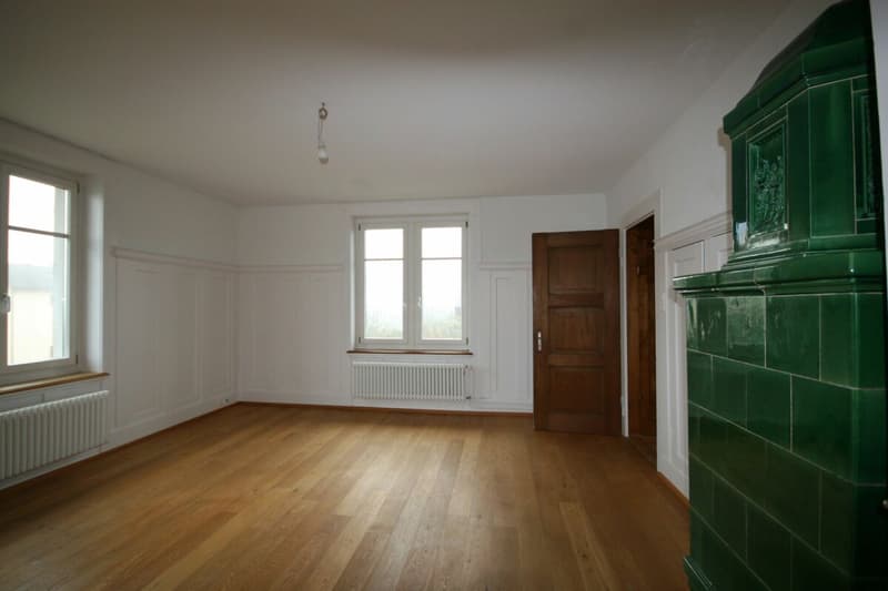 Wunderschöne 4.5-Zimmer-Altbau-Wohnung (6)