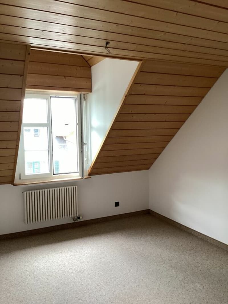 Attraktive & Exklusive 6.5-Zimmerwohnung in der Altstadt (9)