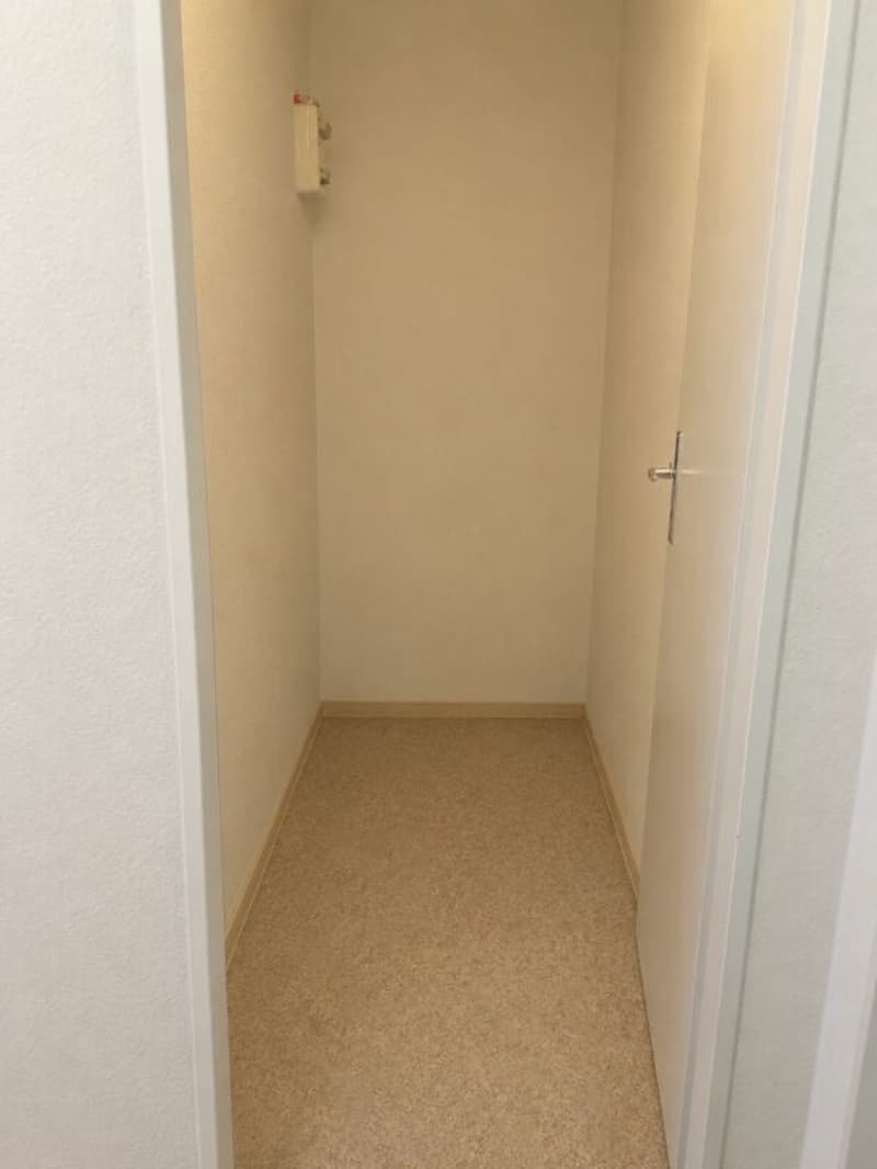 Nachmieter gesucht für 3.5 ZWG im EG in Laufen (8)