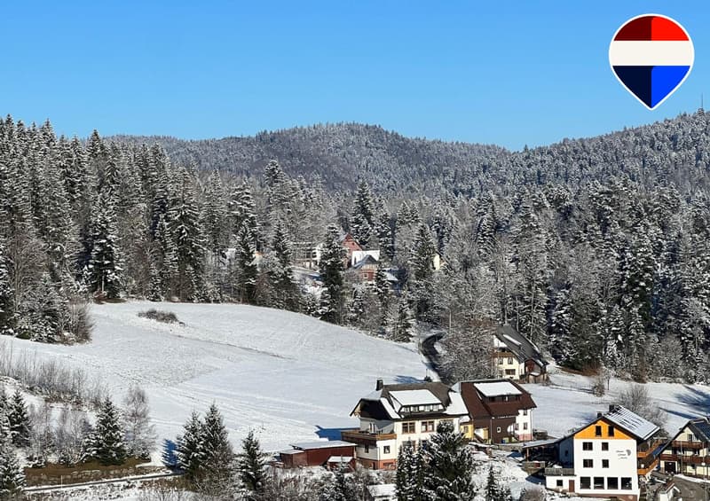 Pension Sternen - Charming Boutique Hotel and Apartments amidst Nature and Silence in Todtmoos (1)