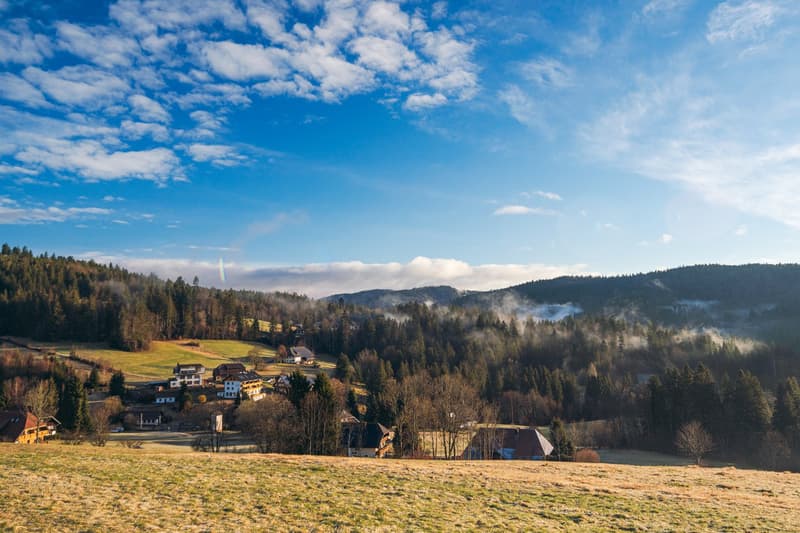 Pension Sternen - Charming Boutique Hotel and Apartments amidst Nature and Silence in Todtmoos (45)