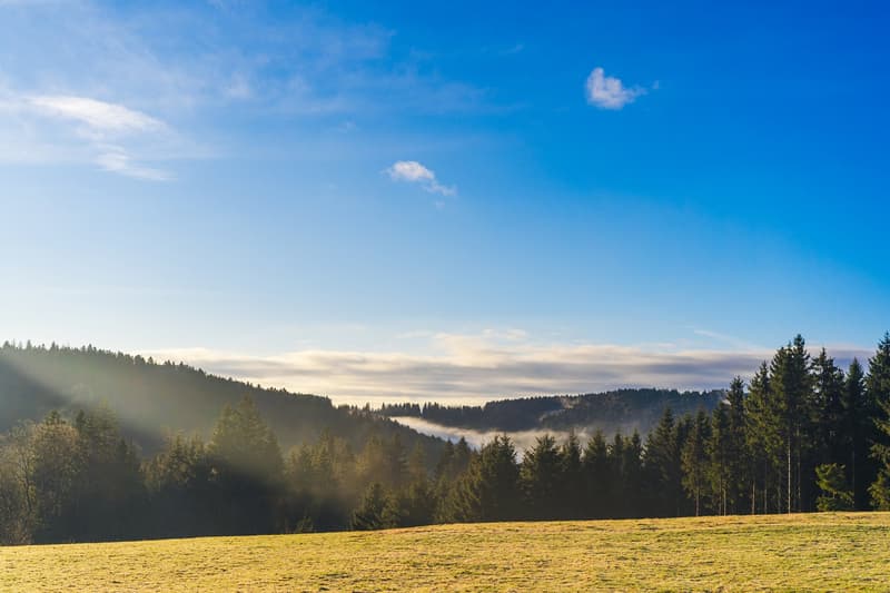 Pension Sternen - Charming Boutique Hotel and Apartments amidst Nature and Silence in Todtmoos (42)