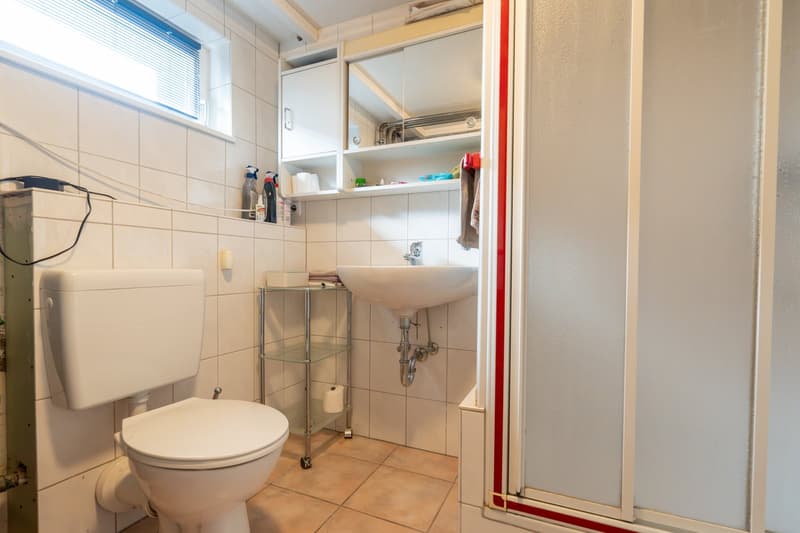 Exklusives Zweifamilienhaus mit Wellness-Außenbereich in Wutöschingen (27)