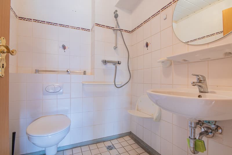 Two well-maintained condominiums with large garden in Rickenbach - Egg (25)