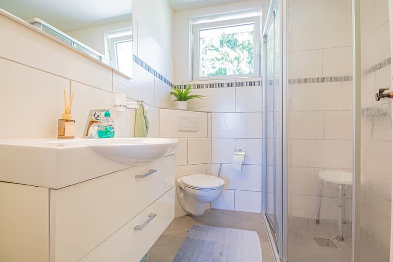 Living close to nature with an extraordinary amount of space – single-family house in a quiet location on the outskirts of Häusern (13)