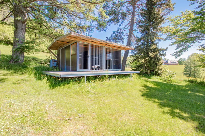 Living close to nature with an extraordinary amount of space – single-family house in a quiet location on the outskirts of Häusern (32)