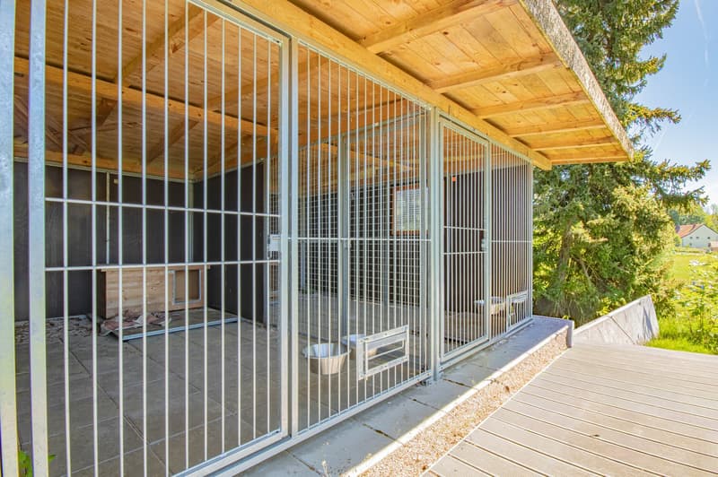 Living close to nature with an extraordinary amount of space – single-family house in a quiet location on the outskirts of Häusern (31)