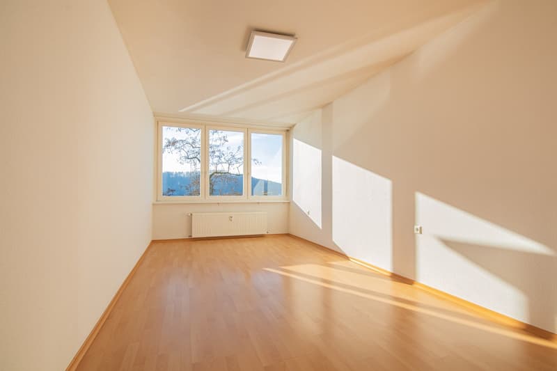 Centre de Waldshut : Appartement 2 pièces sans barrière avec ascenseur et vue sur le Rhin à Waldshut (9)