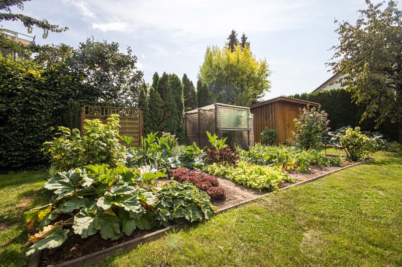 Maison individuelle mitoyenne avec jardin magnifique dans un quartier calme de Wutöschingen (14)