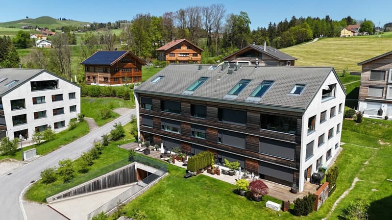 Exklusive Dachwohnung an bevorzugter Lage (11)