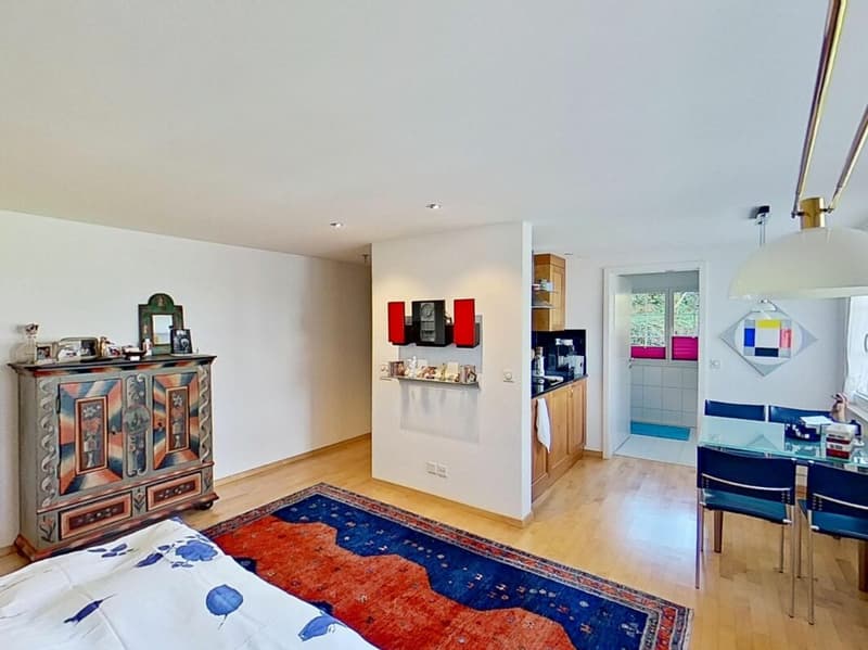 Attractive stylish studio apartment (2)