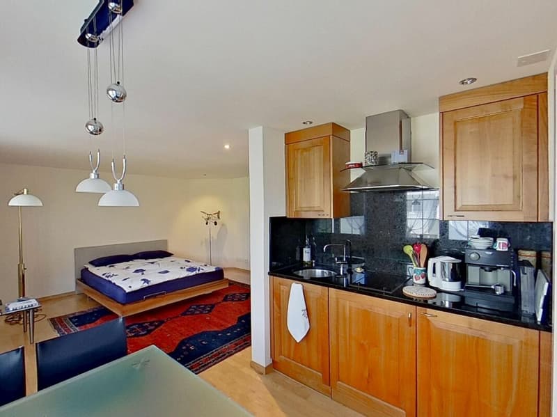 Attractive stylish studio apartment (4)