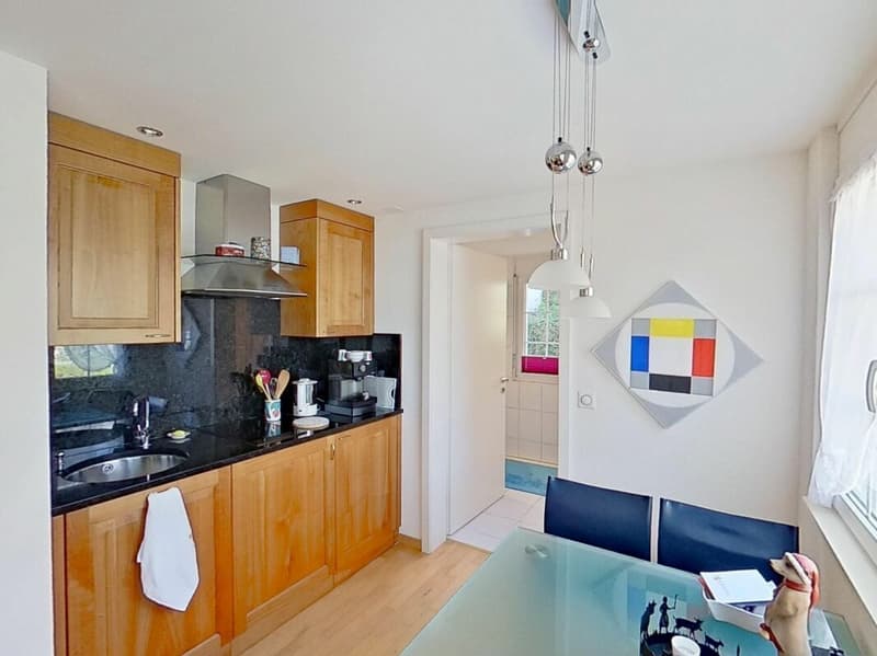Attractive stylish studio apartment (5)