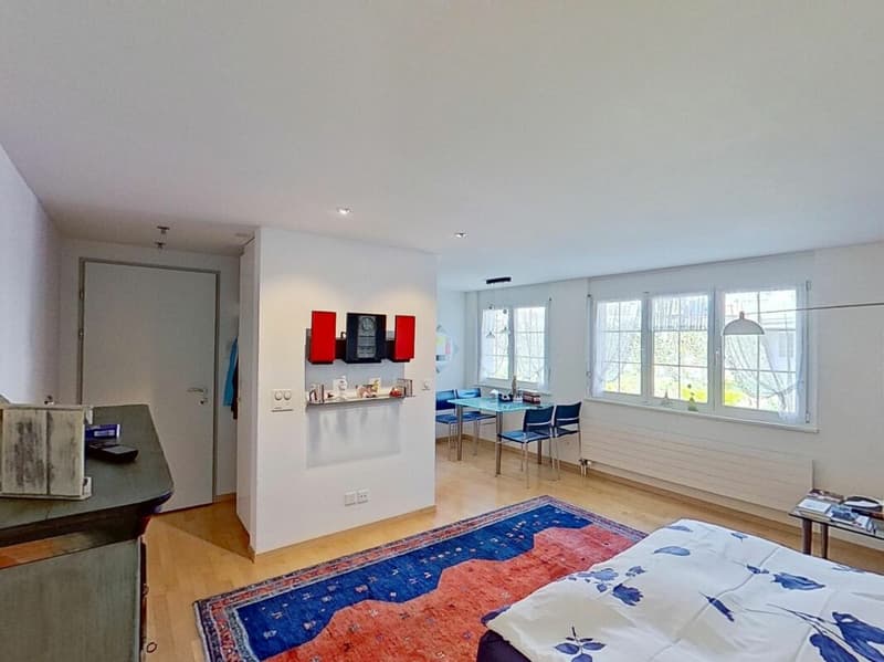 Attractive stylish studio apartment (3)