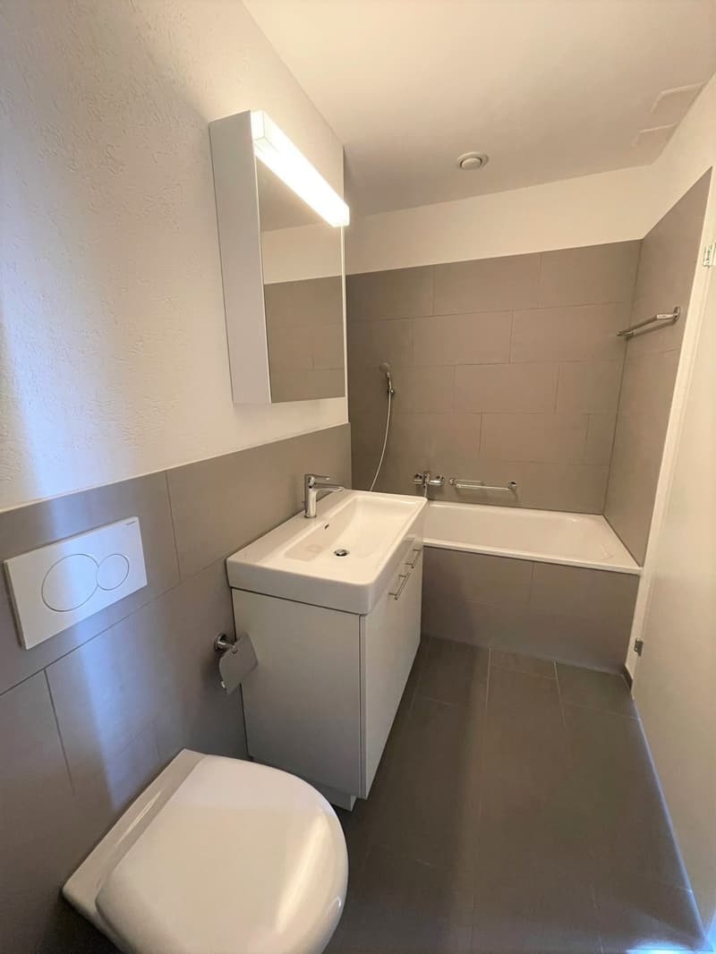 Appartamento attraente vicino alla zona di ricreazione (4)