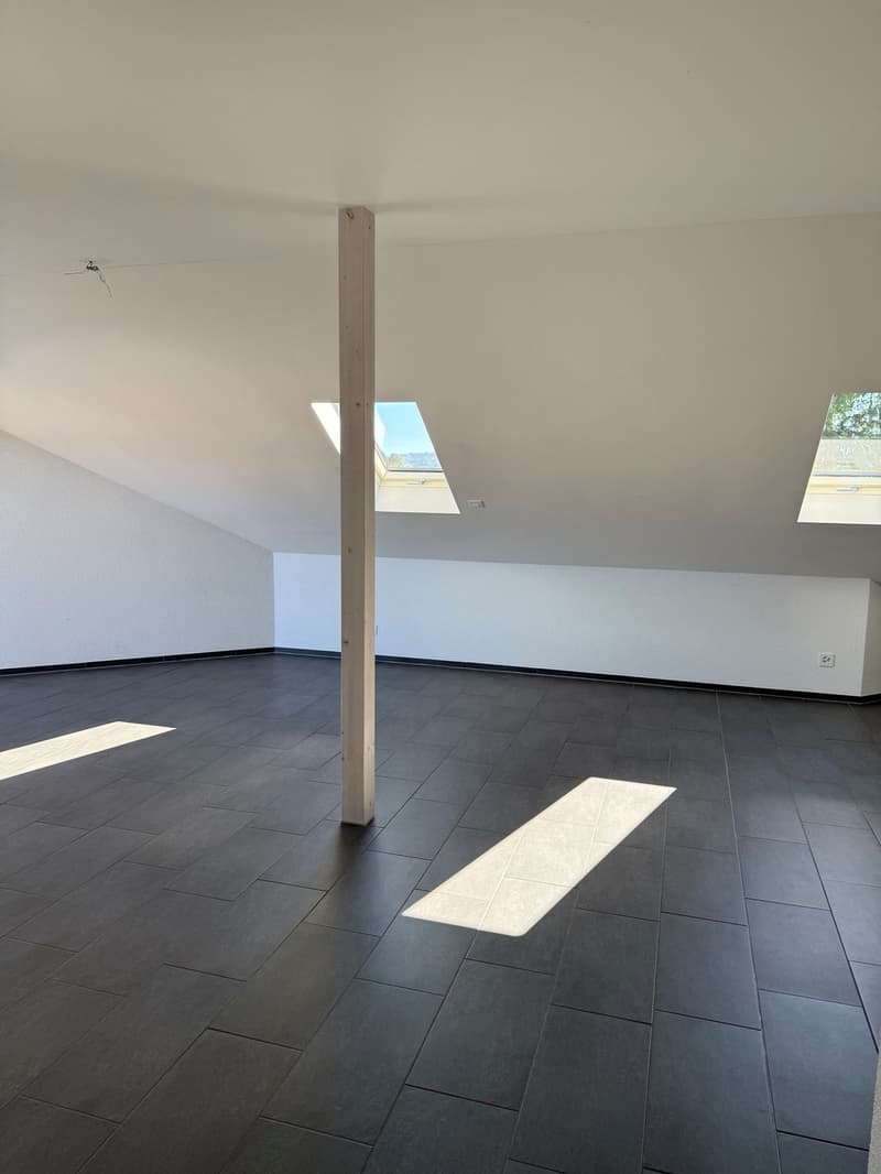 Moderne Wohnung mit herrlicher Aussicht (7)