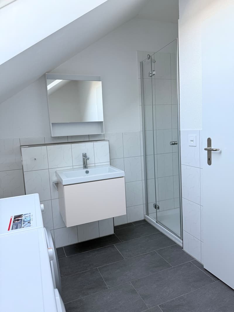 Moderne Wohnung mit herrlicher Aussicht (5)