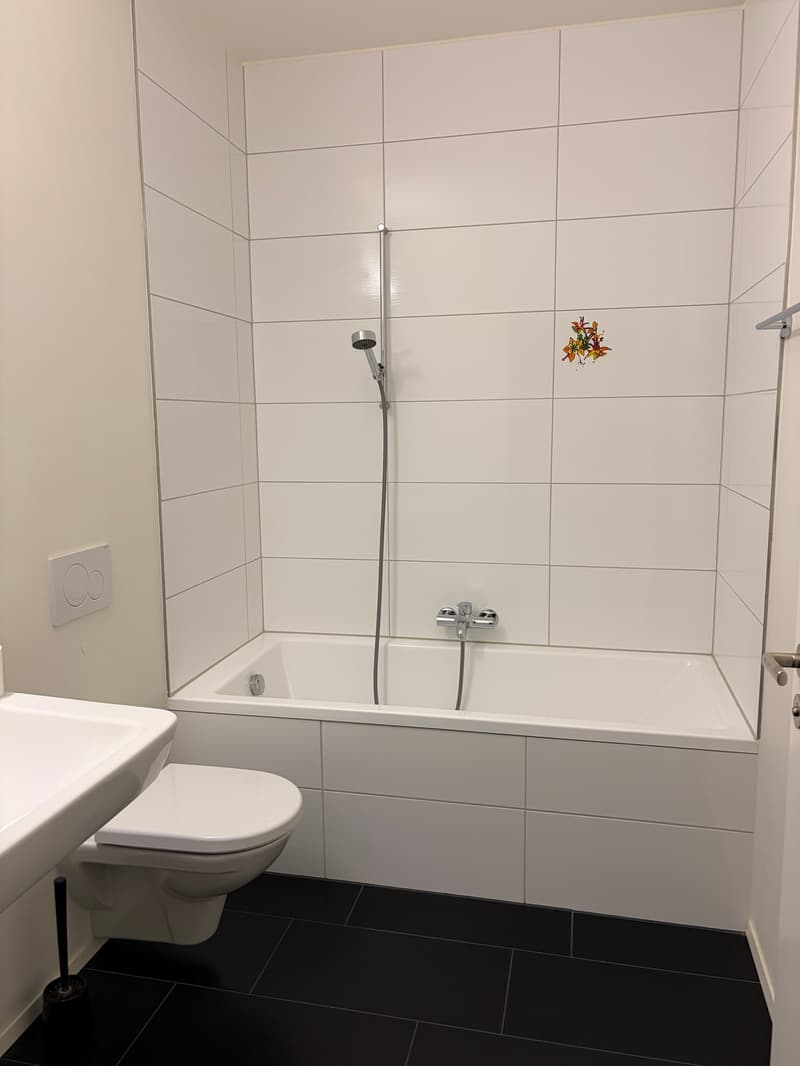 Unique ownership apartment at Herterweiher (6)