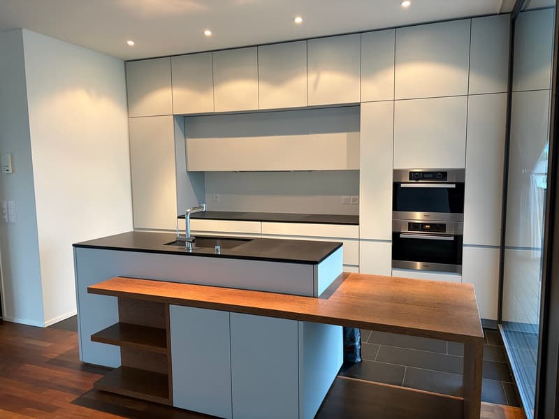 Unique ownership apartment at Herterweiher (2)