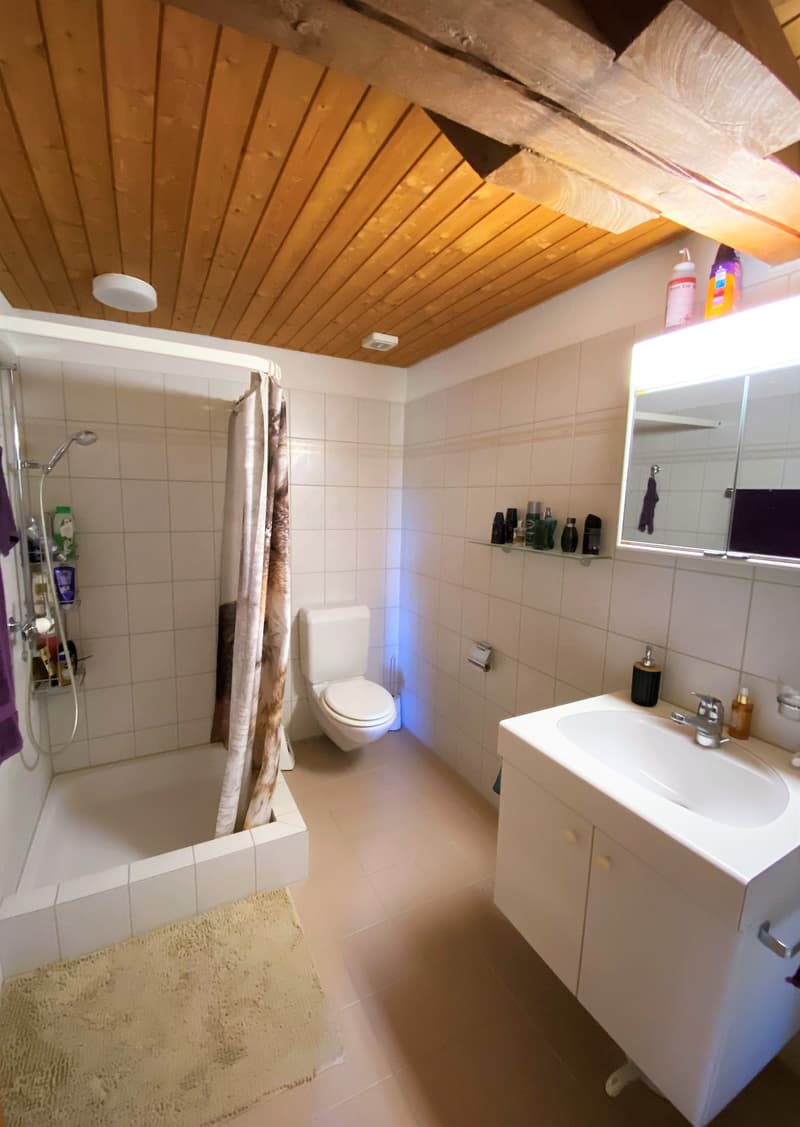 Maisonette di 4,5 locali sotto il tetto in un'area verde (8)