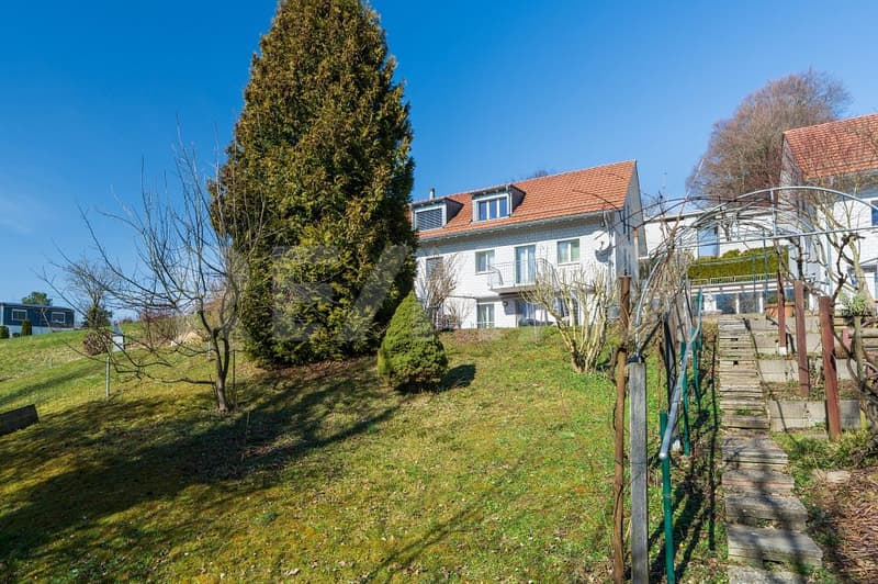 Casa unifamiliare a schiera con serra (3)