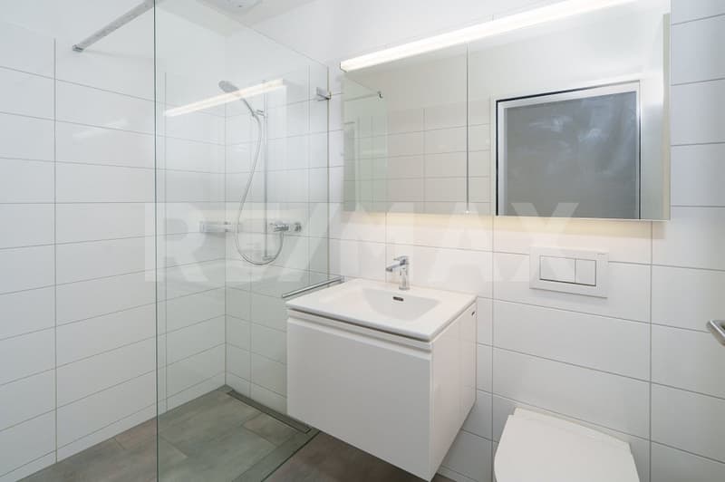 Appartamento in proprietà di 3½ locali in una zona residenziale preferita (10)