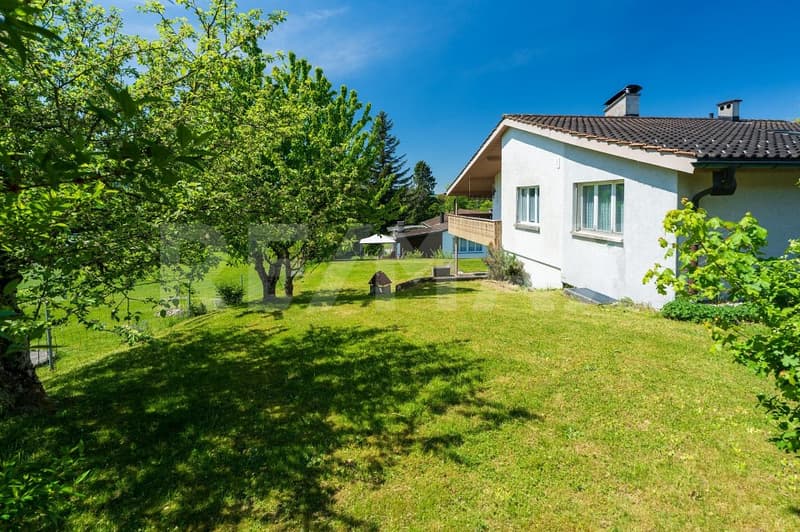 746m² building land with old property (5)