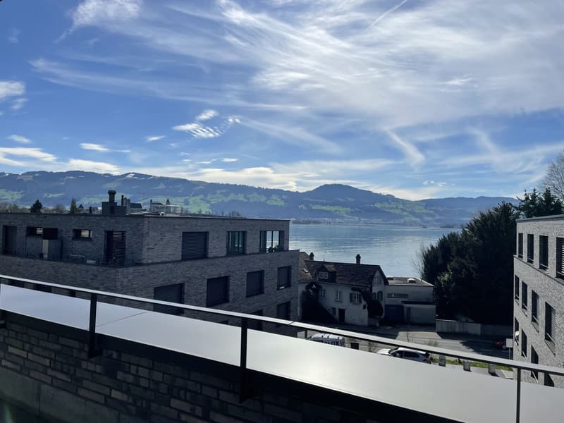 Atemberaubende Attika mit Blick auf den Zürichsee in der Kempratner-Bucht (2)
