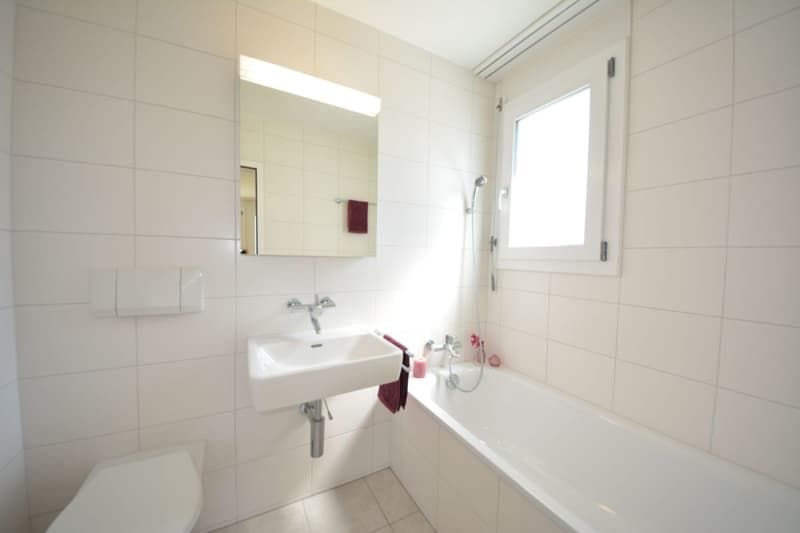 Appartamento di 4,5 locali adatto alle famiglie in zona verde (7)