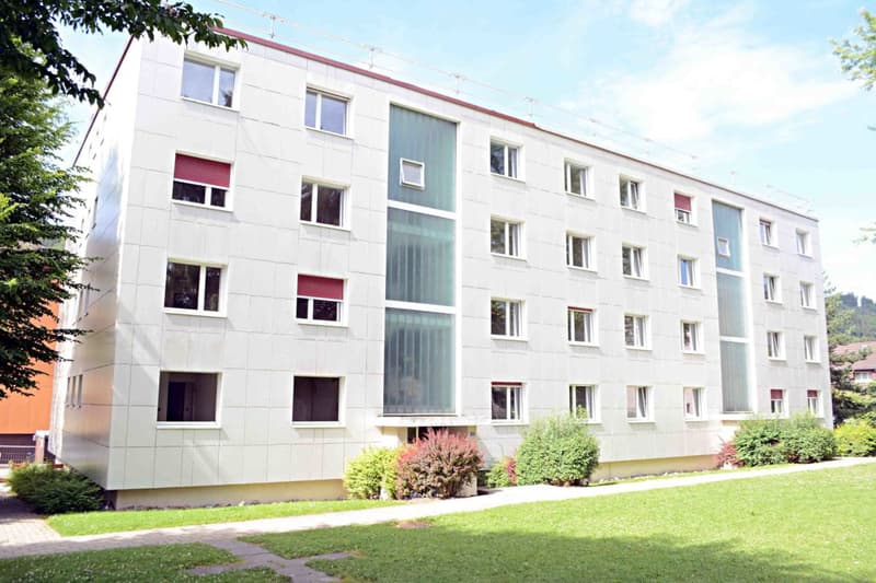 Appartamento 3.5 locali con bella vista sulla montagna nel quartiere di Kalkofen cercato? (1)